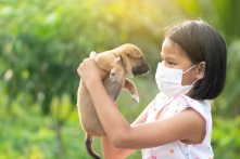 Chuyên gia: Không có cơ sở COVID-19 nhiễm từ người sang chó